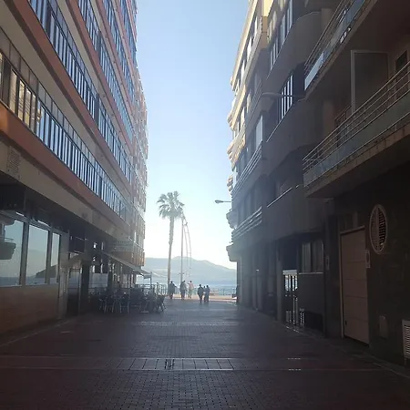 Vcv Marta Canteras *
